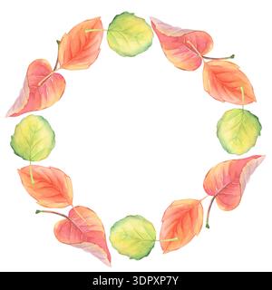 Herbstkranz aus handgezeichneten roten und gelben Blättern. Stockfoto