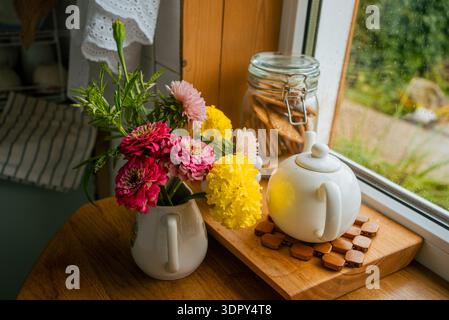Ein fröhlicher Strauß aus Zinnien und Ringelblumen, der in einem weißen Krug auf einem Holztisch neben einem Fenster liegt, begleitet von einer Teekanne und einem Glas mit Keksen, schafft eine gemütliche Atmosphäre Stockfoto