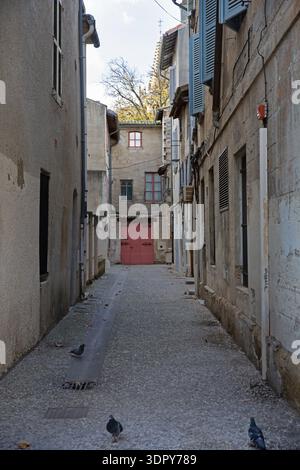 Enge historische Gasse mit Tauben und traditionellen Steinbauten, große rote Eingangstür in der Altstadt von Avignon, Provence-Alpes-Côte d’Azur, Frankreich. Stockfoto