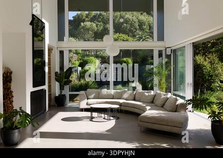 Das geschwungene hellgraue Sofa ist mit Glaswänden und Topfpalmen im hohen Wohnzimmer verankert Stockfoto