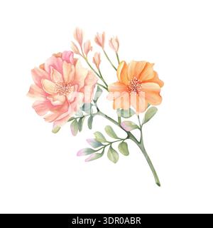 Pfingstrosen-Arrangement, zarte florale Aquarellkomposition mit Vintage-Blumen. Pastellfarbe botanische schöne Frühling Illustration isoliert von Stockfoto