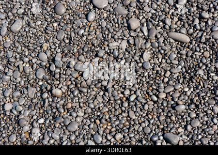 Glatte, abgerundete, graue Kieselsteine bedecken die Küste, die aus Basalt gebildet wurden, das vom vulkanischen Grundgestein Islands erodiert wurde und von konstanter Wellenbewegung geformt wurde. Stockfoto