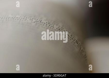 Details von Phrasen in Büchern, der Bibel und dem Wort. Abbildung eines Blattes Papier mit Schwerpunkt auf Phrasen. Verschwommener Hintergrund, veraltete Papierblätter. Stockfoto