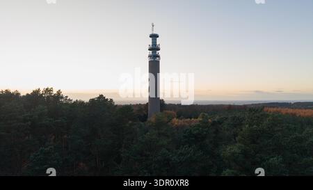 Pye Green BT Tower oberhalb des Cannock Chase Forest in Dawn, Staffordshire, England Stockfoto