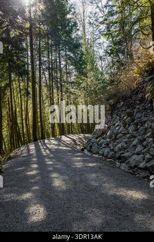 Schotterpfad schlängelt sich durch Wald mit Felsmauer und hohen immergrünen Bäumen im Capilano Regional Park Vancouver Stockfoto