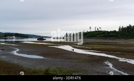 Port Hardy, BC, Kanada - 25. Juni 2024: Ebbe-Slough mit Arbeitskahn und entferntem Quarterdeck Marina. Stockfoto
