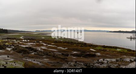 Port Hardy, BC Kanada - 25. Juni 2024: Die felsige Küste in der Nähe der Bear Cove Marina liegt bei Ebbe exponiert, bedeckt mit Küstengräsern und Algen, mit Stockfoto