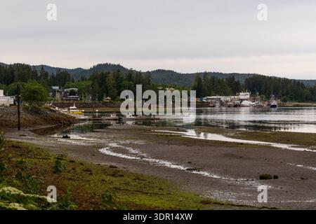 Port Hardy, BC, Kanada - 25. Juni 2024: Schlammige Wattflächen mit grünen und braunen Algen und die Quarterdeck Marina in der Ferne. Stockfoto