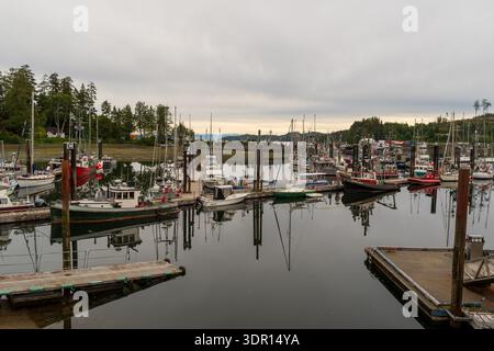 Port Hardy, BC, Kanada - 25. Juni 2024: Boote spiegeln sich in ruhigen Gewässern an der Quarterdeck Marina. Stockfoto