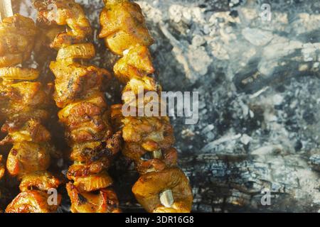 Gegrillte Spieße kochen über offener Flamme bei einem Barbecue-Event im Sommer Stockfoto