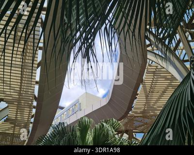 Blick auf den tropischen Garten mit Palmenfronten, die den hellen blauen Himmel umrahmen, modernem perforiertem Vordach und hängenden Lichtern über üppigem Grün. Stockfoto