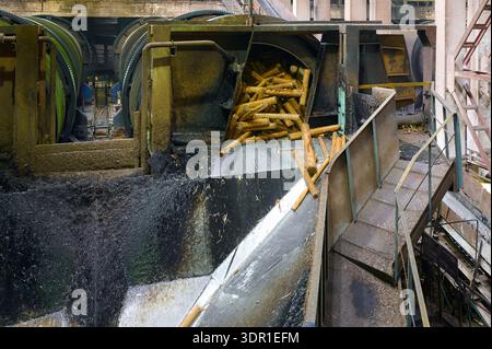 Fässer-Entrindung, die in einer Holzverarbeitungsanlage in einer geschäftigen industriellen Umgebung Baumstämme verarbeiten Stockfoto