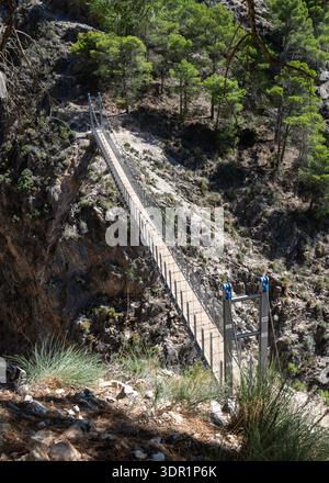 Hochwinkelblick auf die Fußgängerbrücke El Saltillo, die eine felsige Schlucht in der Provinz Málaga, Andalusien, Spanien, überspannt und von Kiefernwäldern umgeben ist Stockfoto