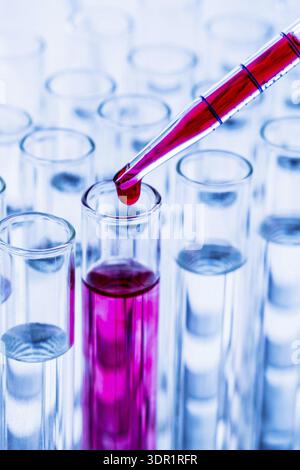 Viele Reagenzgläser während eines Experiments in einem universitären Forschungslabor. Blut, Bluttest, Gesundheit, Laborgläser, Glas, Bluttest, Atelieraufnahme Stockfoto