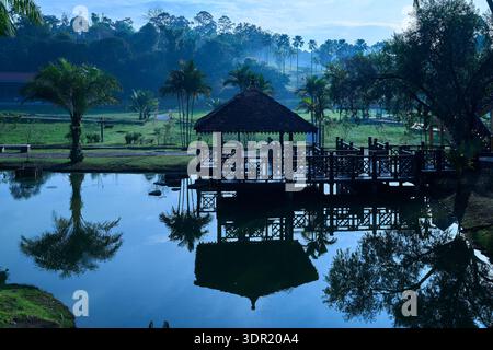 Friedliche tropische Landschaft mit einer hölzernen Pavillonplattform über ruhigem Wasser mit Reflexionen, Kokospalmen und nebligem Grün im Hintergrund. Stockfoto