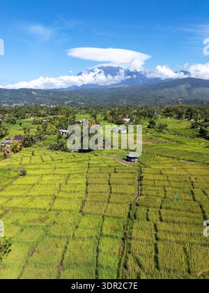 Luftaufnahme des Reisfeldes mit Blick auf den Mt. Kinabalu in Ranau Sabah Malaysia Stockfoto