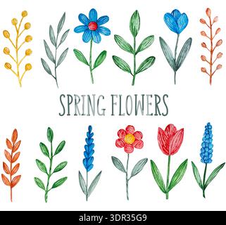 Hand gezeichnet Aquarell Frühlingsblumen Sammlung mit Blättern und dekorativen botanischen Elementen isoliert auf hellem Hintergrund. Farbenfrohes Set mit Blumenmuster Stockfoto