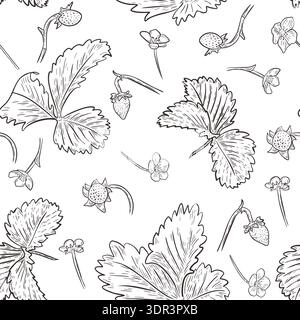 Schwarze und weiße frische Erdbeerblätter und Blumen Vektormuster isoliert. Nahtloses Schwarzweißdesign mit Gartenbeeren für Textilien und Tapeten Stock Vektor