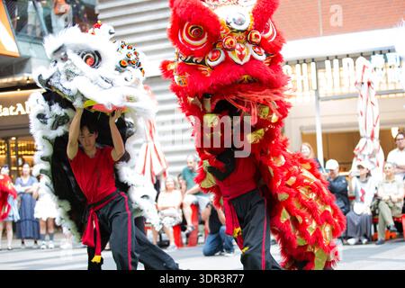 Melbourne, Australien. Februar 2026. Während der Feierlichkeiten zum Neujahrsfest wurden Drachen getanzt. In Melbourne Chinatown finden Neujahrsfeiern statt, bei denen kulturelle Darbietungen, Löwentänze und Gemeindeversammlungen den Beginn des neuen Mondjahres begrüßen und das chinesische Erbe und die Traditionen zelebrieren. Quelle: SOPA Images Limited/Alamy Live News Stockfoto
