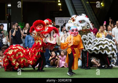 Melbourne, Australien. Februar 2026. Während der Feierlichkeiten zum Neujahrsfest wurden Drachen getanzt. In Melbourne Chinatown finden Neujahrsfeiern statt, bei denen kulturelle Darbietungen, Löwentänze und Gemeindeversammlungen den Beginn des neuen Mondjahres begrüßen und das chinesische Erbe und die Traditionen zelebrieren. Quelle: SOPA Images Limited/Alamy Live News Stockfoto