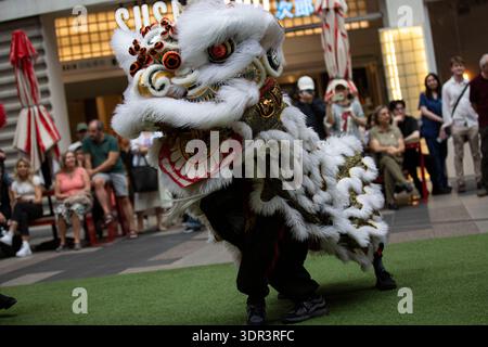 Melbourne, Australien. Februar 2026. Während der Feierlichkeiten zum Neujahrsfest wurden Drachen getanzt. In Melbourne Chinatown finden Neujahrsfeiern statt, bei denen kulturelle Darbietungen, Löwentänze und Gemeindeversammlungen den Beginn des neuen Mondjahres begrüßen und das chinesische Erbe und die Traditionen zelebrieren. Quelle: SOPA Images Limited/Alamy Live News Stockfoto