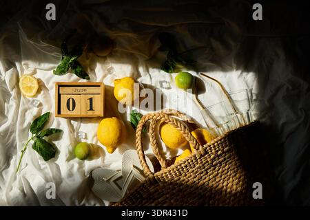 Zitronen und Limetten sind kunstvoll mit frischem Gemüse, Eiswürfeln und einem gewebten Korb angeordnet, um am ersten Tag von Ju eine lebhafte Sommerstimmung in Italien zu erleben Stockfoto