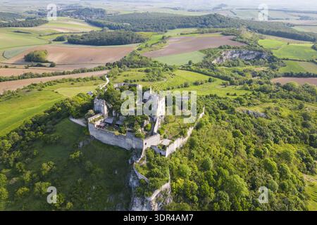 Majestätisch auf einem grünen Hügel, ein Zeugnis der Geschichte inmitten der Natur, Falkenstein, Lower aus, erhebt sich aus der Vogelperspektive auf die Ruine der Burg Falkenstein Stockfoto