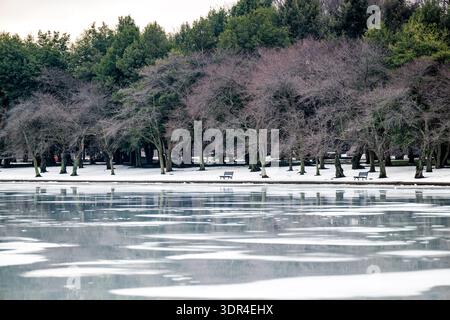 TIDAL Basin Dormant Cherry Trees Wing Ice Washington DC United States // GEZEITENBECKEN, Washington, D.C. — ruhende Kirschbäume säumen das schneebedeckte Ufer, während Eis auf der Wasseroberfläche auftaut, Montag, 16. Februar 2026. Stockfoto