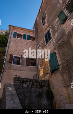 Flacher Blick auf alte Steinhäuser mit grünen Rollläden und einer Katze an einer Mauer in Kotor Altstadt - Kotor, Montenegro Stockfoto