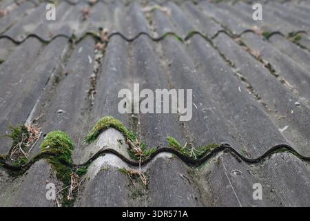 Altes Dach mit Moos und Schmutz, der Verschleiß und Alter durch Witterungseinwirkung im Laufe der Zeit zeigt Stockfoto