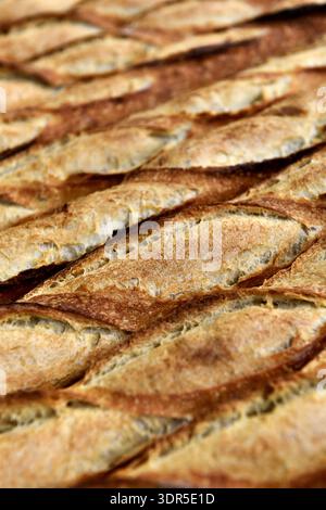 eine Nahaufnahme mehrerer frisch gebackener traditioneller französischer Baguettes, die auf einem Metallkühler ruhen - Französische Backwaren - Frankreich Stockfoto