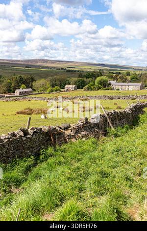 Das Tal des River East Allen an den Pennines bei Spartylea, Northumberland, England Großbritannien Stockfoto