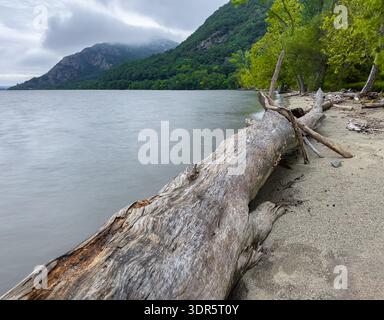 Treibholz entlang des Hudson River an einem stürmischen Sommertag in den Hudson Highlands in der Nähe von Beacon und Cold Spring, New York. Stockfoto
