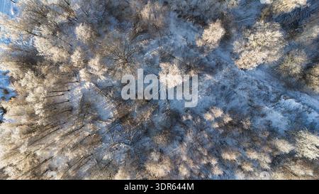 Blick aus der Vogelperspektive auf den sonnendurchfluteten Frosty Forest in Paljassaare, Tallinn Stockfoto
