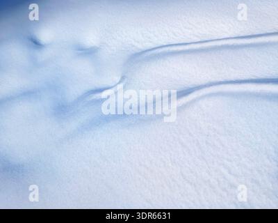 Minimalistischer Winterhintergrund mit Schatten auf frischer weißer Schneestruktur. Stockfoto