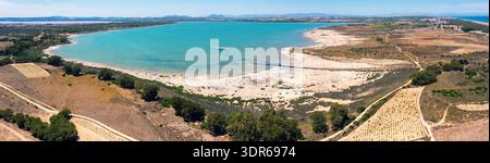 Panoramablick auf die Lagune Salada de la Mata in Torrevieja, Spanien. Junge Weinberge am Seeufer an einem sonnigen Tag Stockfoto