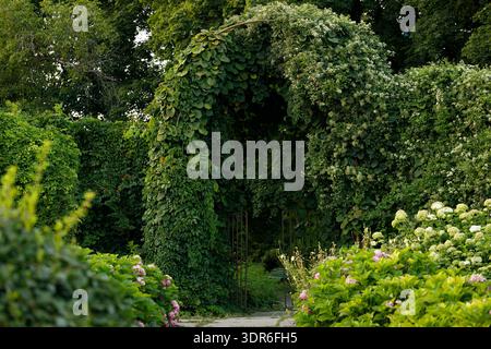 Ein gewundener Steinweg führt durch einen grünen Garten, der unter einem natürlichen Bogengang mit Kletterpflanzen und zartem weißem bloss zur Erkundung einlädt Stockfoto