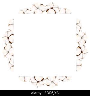 Runder Baumwollrahmen mit Kopierraum. Aquarell handgemalte botanische Illustration isoliert auf weißem Hintergrund. Elegantes Design für Hochzeit, Geburtstag. Stockfoto
