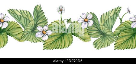 Nahtloser Rand von Blättern und Blumen. Ein horizontales Muster aus grünen Blättern und weißen Blüten Erdbeeren. Eine nahtlose Illustration von Aquarellen Stockfoto