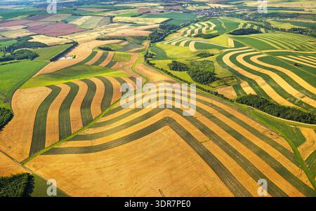 Aus der Vogelperspektive auf südmährisches Ackerland mit gekrümmten Streifenfeldern, kontrastierenden Kulturen und Böden, traditionelle Landwirtschaftslandschaft, Tschechische Republik Land Stockfoto
