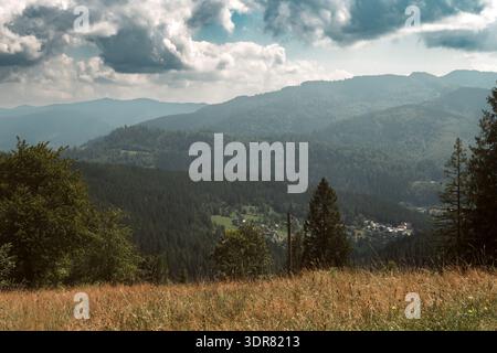Malerisches Bergtal mit sanften bewaldeten Hügeln, Kiefern und Wiesen im Vordergrund unter dramatischem bewölktem Himmel. Friedliche Sommerlandschaft mit Stockfoto