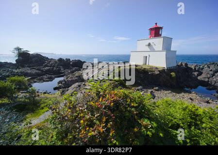 Der Leuchtturm von Amphitrite Point steht an der rauen felsigen Küste in Ucluelet, Vancouver Island, British Columbia, umgeben von üppiger Küstenvegetation. Stockfoto