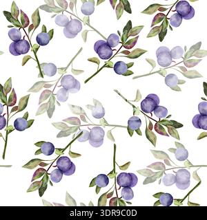 Blaubeere nahtloses Muster Aquarellzweige. Ein zartes Ornament aus Beeren. Für Gewebe, Textildesign, Digitalpapier. Schwarzer Hintergrund Stockfoto