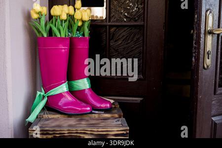 Gelbe Tulpen in rosafarbenen Gummistiefeln stehen auf Vintage Holzkisten neben einer dunklen Holztür. Rustikale Frühlingsveranda. Stockfoto