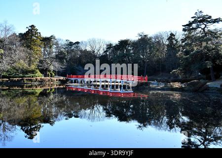 Rote Brücke über den Teich im Park. Stockfoto