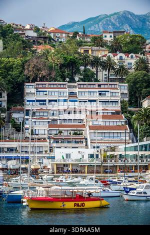 Herceg Novi, Montenegro - 24. Mai 2017: Blick auf die Gebäude über dem Hafen von Herceg Novi Küstenstadt am Eingang zur Bucht von Kotor Stockfoto