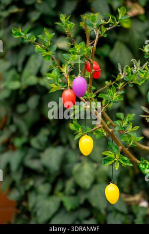 Rote, gelbe und lila Ostereier, die an Blattzweigen hängen. Nahaufnahme der Frühlingsferien in einer üppigen Gartenumgebung. Stockfoto