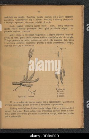 Dieser zweite Band eines naturwissenschaftlichen Grundlagenkurses von E. Sokolnicka, der 1919 veröffentlicht wurde, legt den Schwerpunkt auf Botanik und Mineralogie. Es beschreibt die Anatomie, Physiologie, Klassifizierung und ökologische Wechselwirkungen der Pflanzen, die auf 78 Seiten zu Bildungszwecken dargestellt werden. Das Buch diente als Grundlagentext für polnische Studenten im frühen 20. Jahrhundert und förderte wissenschaftliche Beobachtung, analytische Fähigkeiten und das Verständnis der Pflanzenbiologie und der Naturgeschichte. Stockfoto