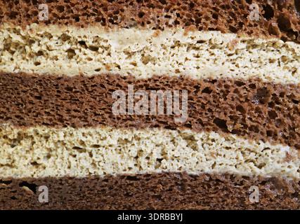Makroaufnahme der köstlichen Textur des Schokoladen-Chiffon-Kuchens Stockfoto