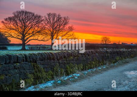 Ein Wintersonnenaufgang über den schneebedeckten Feldern in Belper, Derbyshire, England Stockfoto